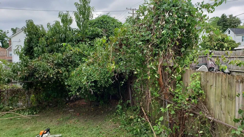 Reliable residential landscaping experts serving Baltimore, MD - J Lawn Care