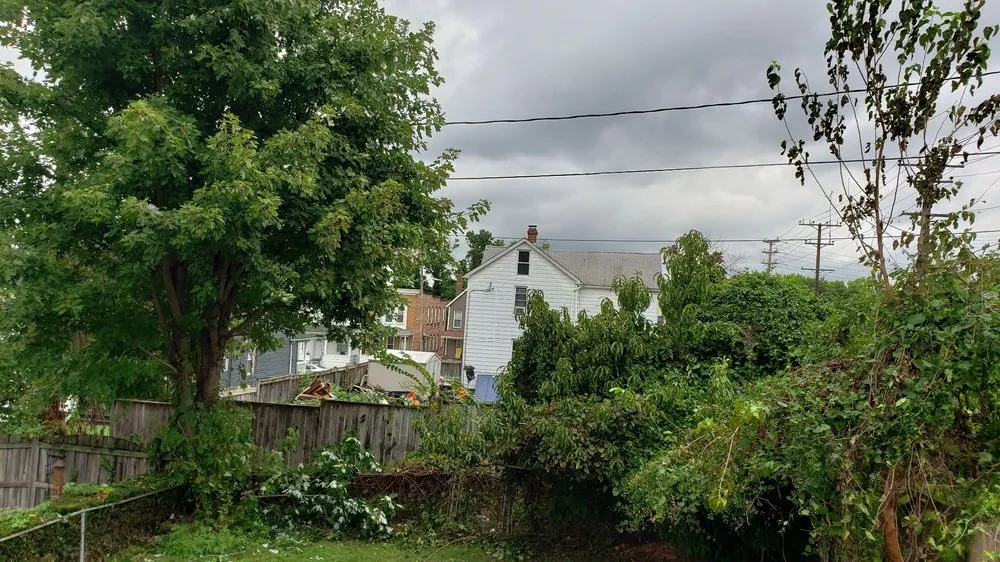 Top-rated outdoor landscaping near you in Baltimore, MD by J Lawn Care