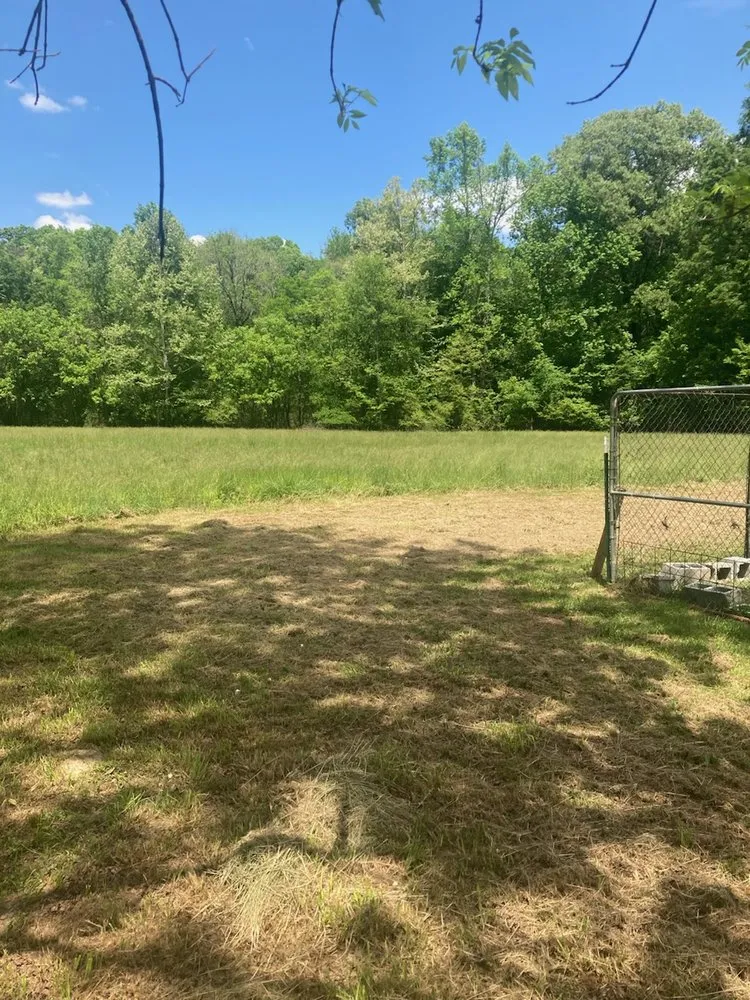 Professional yard cleanup service for homes across Chatsworth, GA - J Lawn Care