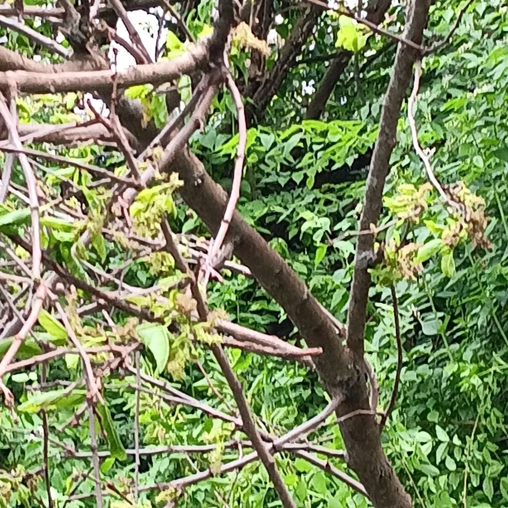 Custom lawn mowing service experts serving Dayton, OH - J Lawson and Son A to Z