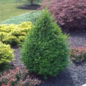 Reliable garden landscaping in Gardner, MA by J. LeBlanc and Sons Landscaping