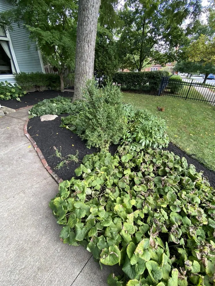 Top-rated landscape design experts serving Fishers, IN - J Lopez Garage Door & Handyman Services