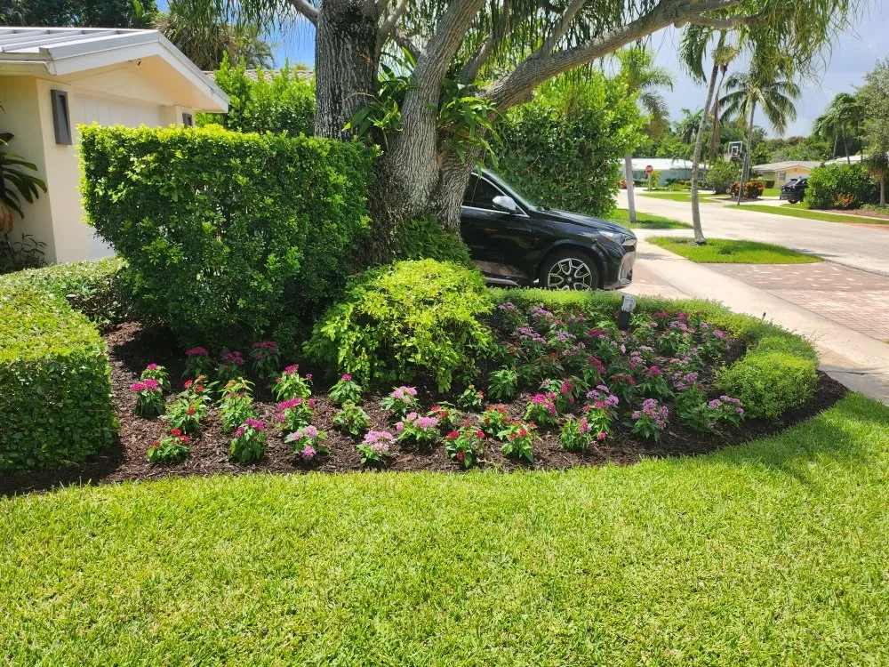 Affordable landscape design for homes in Boynton Beach, FL by J LOPEZ Landscape Solution