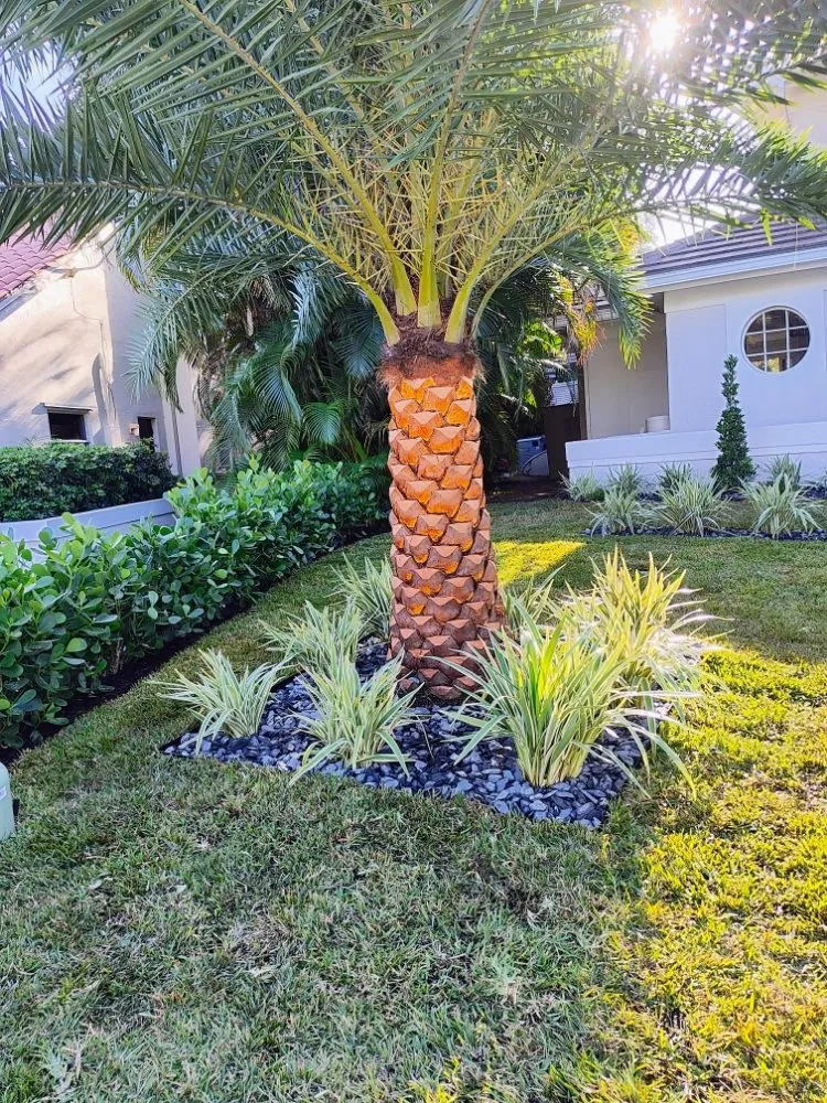 Professional landscape design for year-round maintenance in Boynton Beach, FL by J LOPEZ Landscape Solution