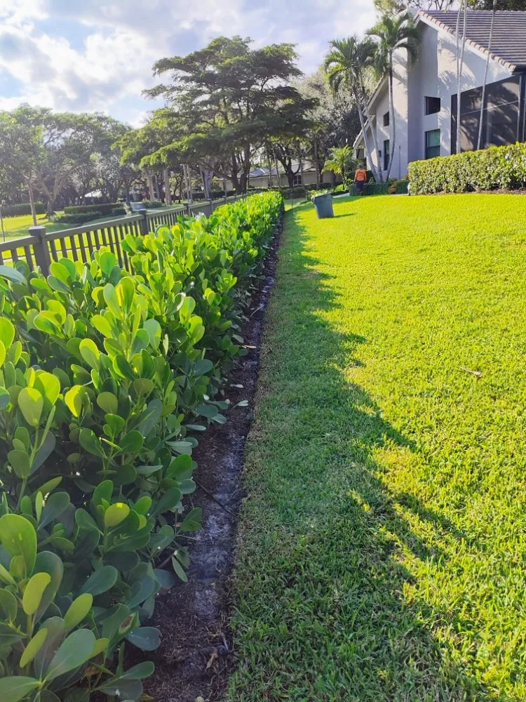 Local lawn care service in Boynton Beach, FL - J LOPEZ Landscape Solution