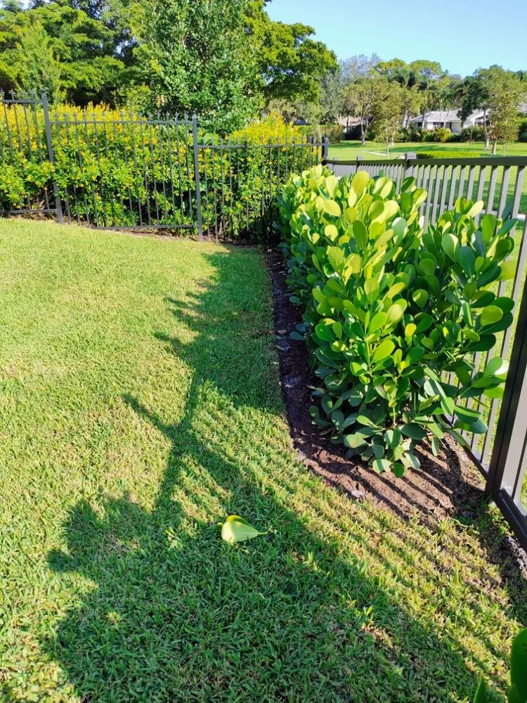 Affordable outdoor landscaping in Boynton Beach, FL - J LOPEZ Landscape Solution