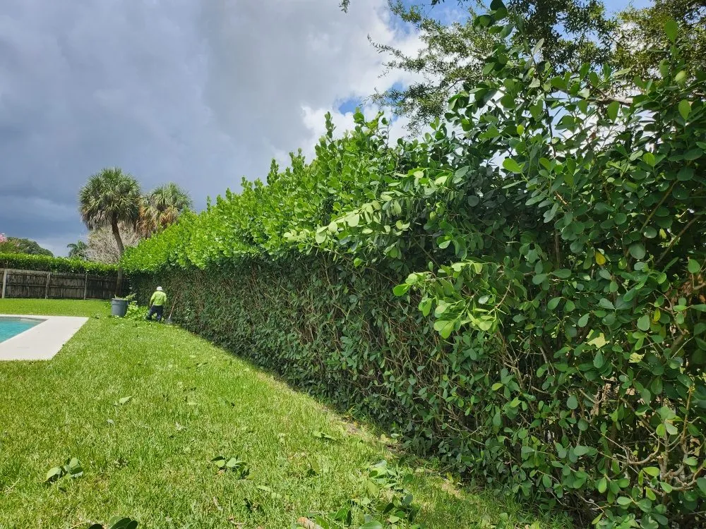 Professional landscape installation for year-round maintenance across Boynton Beach, FL - J LOPEZ Landscape Solution