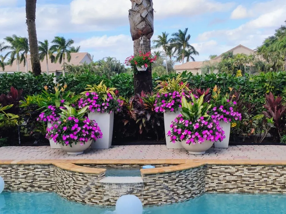Top-rated residential landscaping in Boynton Beach, FL - J LOPEZ Landscape Solution