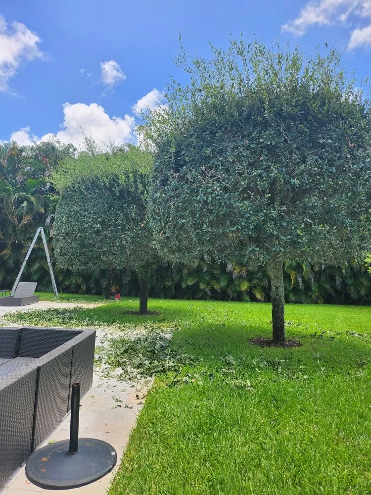 Trusted yard maintenance in Boynton Beach, FL by J LOPEZ Landscape Solution