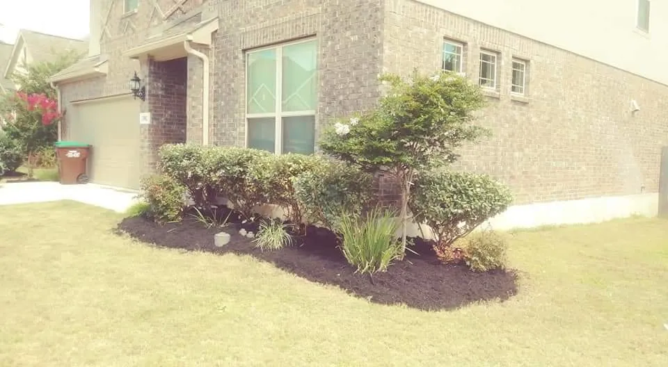 Professional lawn mowing service experts serving San Antonio, TX - J Lozano Lawn Services