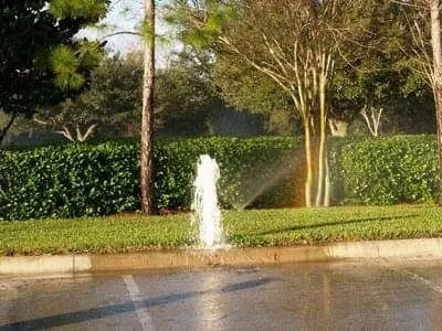 Local outdoor landscaping in San Antonio, TX by J Lozano Lawn Services