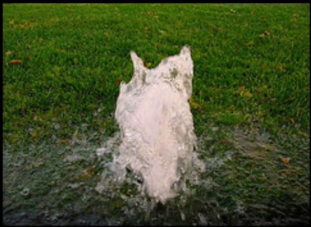 Reliable outdoor landscaping in San Antonio, TX by J Lozano Lawn Services