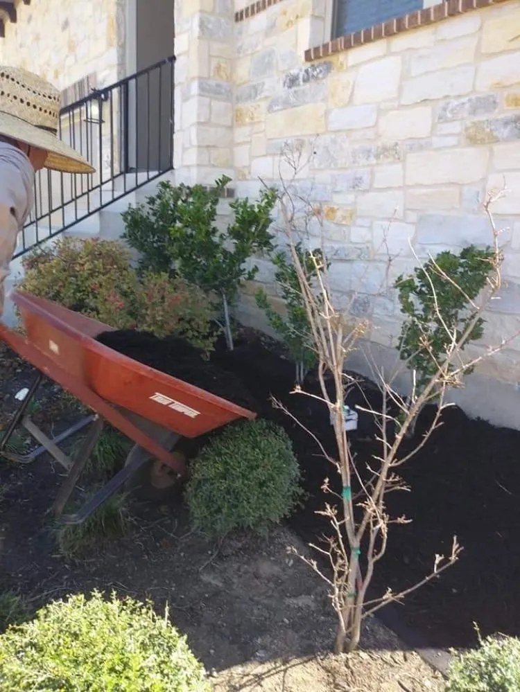 Trusted lawn care service in San Antonio, TX by J Lozano Lawn Services