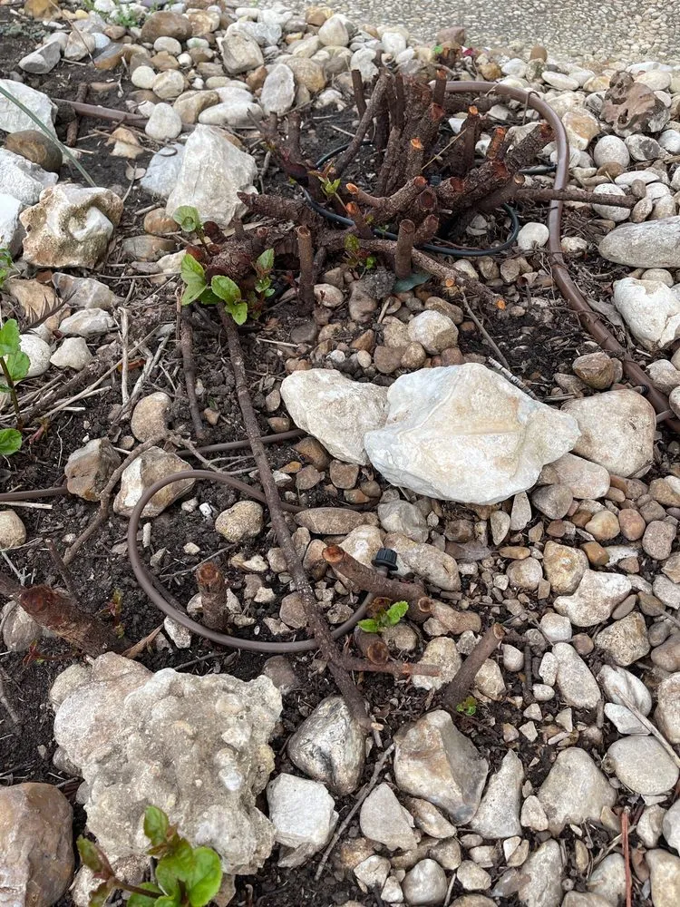 Trusted outdoor landscaping in San Antonio, TX - J Lozano Lawn Services