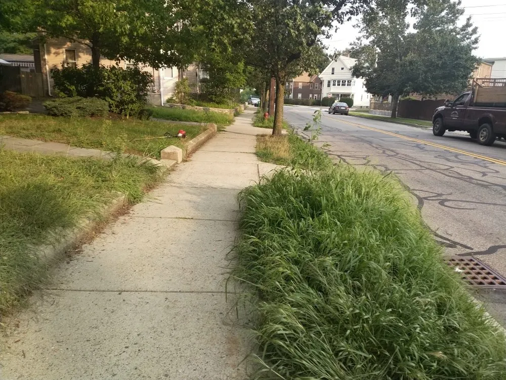 Trusted yard cleanup service in Waltham, MA by J Luna Landscaping Service