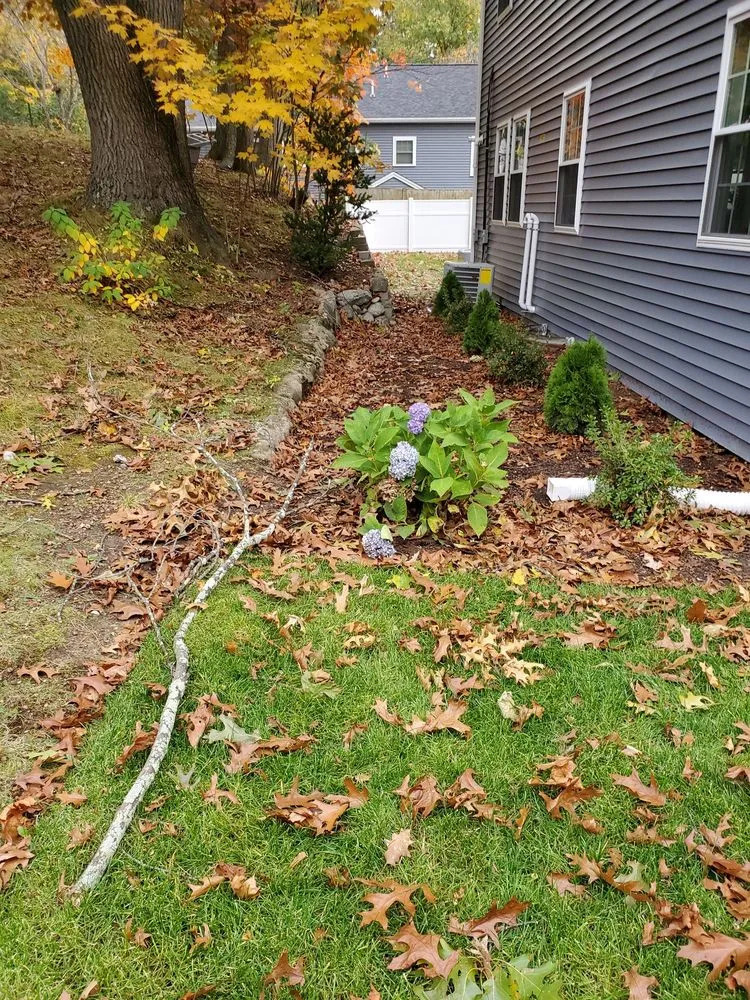 Expert lawn care service in Waltham, MA - J Luna Landscaping Service