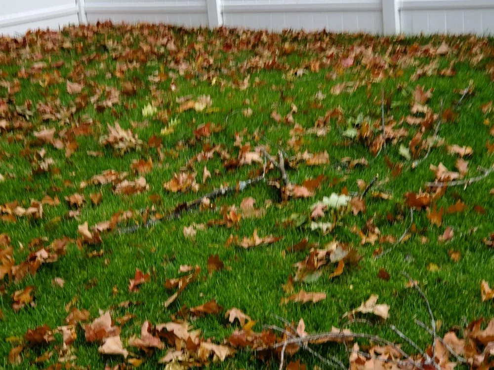 Affordable landscape design for beautiful yards in Waltham, MA by J Luna Landscaping Service