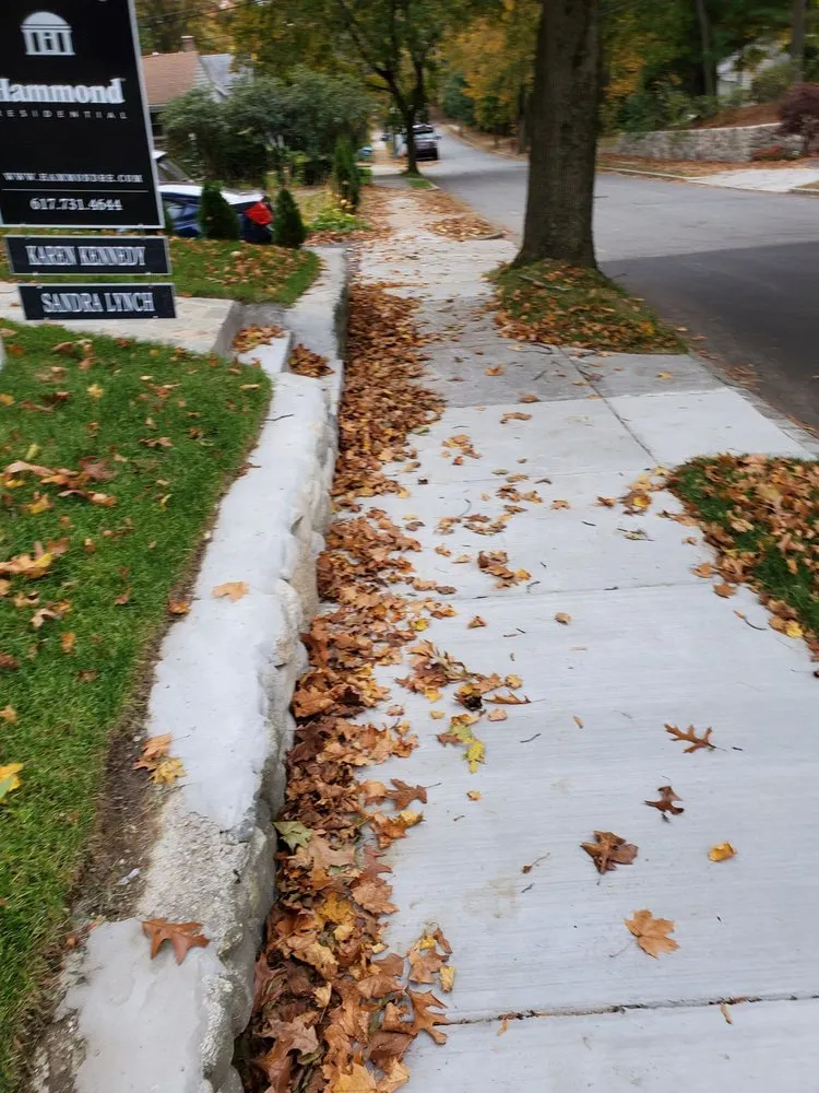 Expert garden landscaping for homes across Waltham, MA - J Luna Landscaping Service