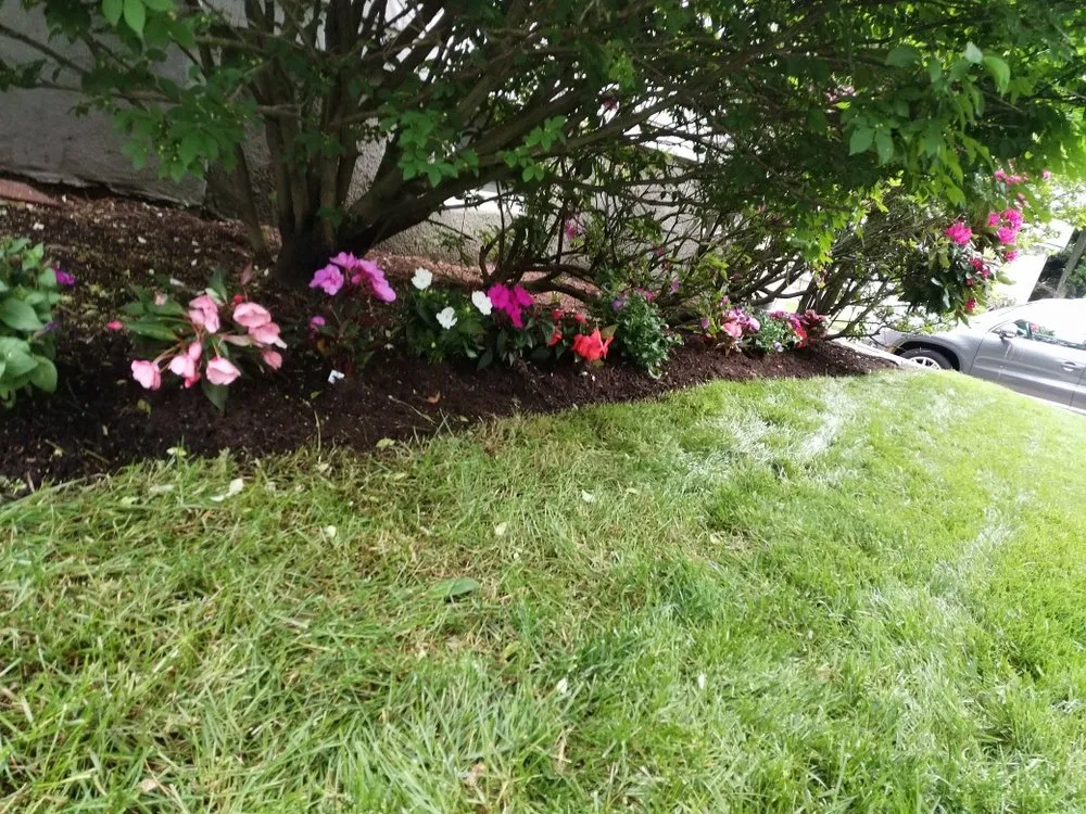 Local yard maintenance near you across Waltham, MA - J Luna Landscaping Service