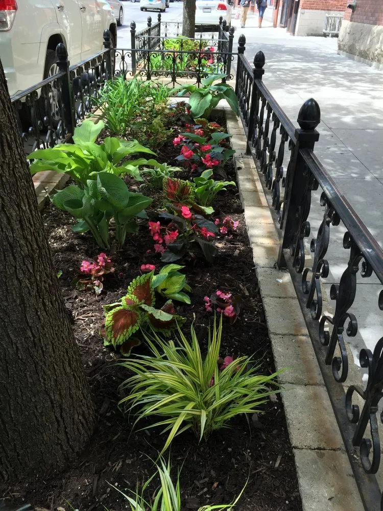 Professional yard maintenance for year-round maintenance in Chicago, IL by J Lyn's Garden and Design