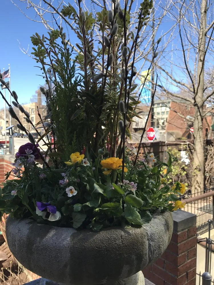 Top-rated yard maintenance with custom design in Chicago, IL by J Lyn's Garden and Design