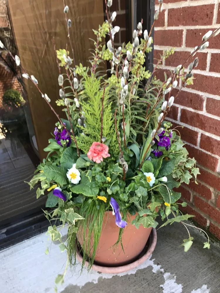 Expert yard cleanup service in Chicago, IL by J Lyn's Garden and Design