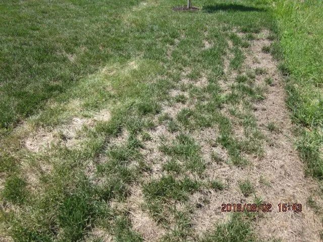 Affordable garden landscaping in Kearney, MO by J M C Landscape Company