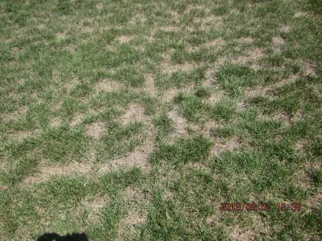 Top-rated landscape installation in Kearney, MO by J M C Landscape Company