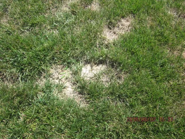 Reliable yard cleanup service in Kearney, MO - J M C Landscape Company