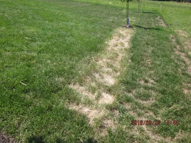 Trusted residential landscaping experts serving Kearney, MO - J M C Landscape Company