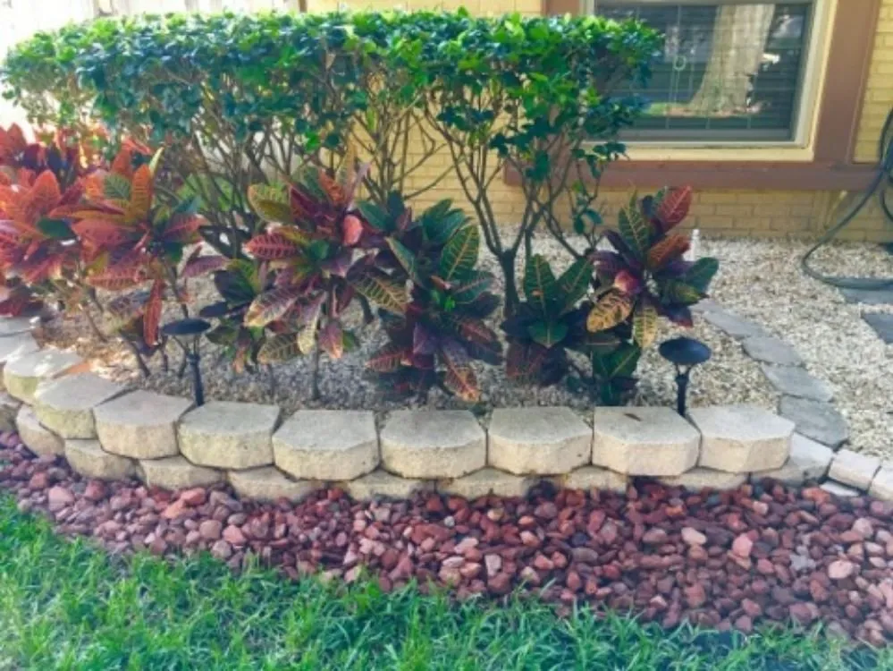 Custom yard cleanup service for year-round maintenance in Tampa, FL by J M Guerra Landscaping