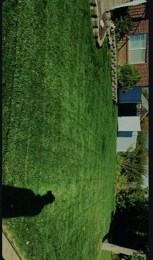 Trusted landscape installation for year-round maintenance across Woods Cross, UT - J M Landscape Construction