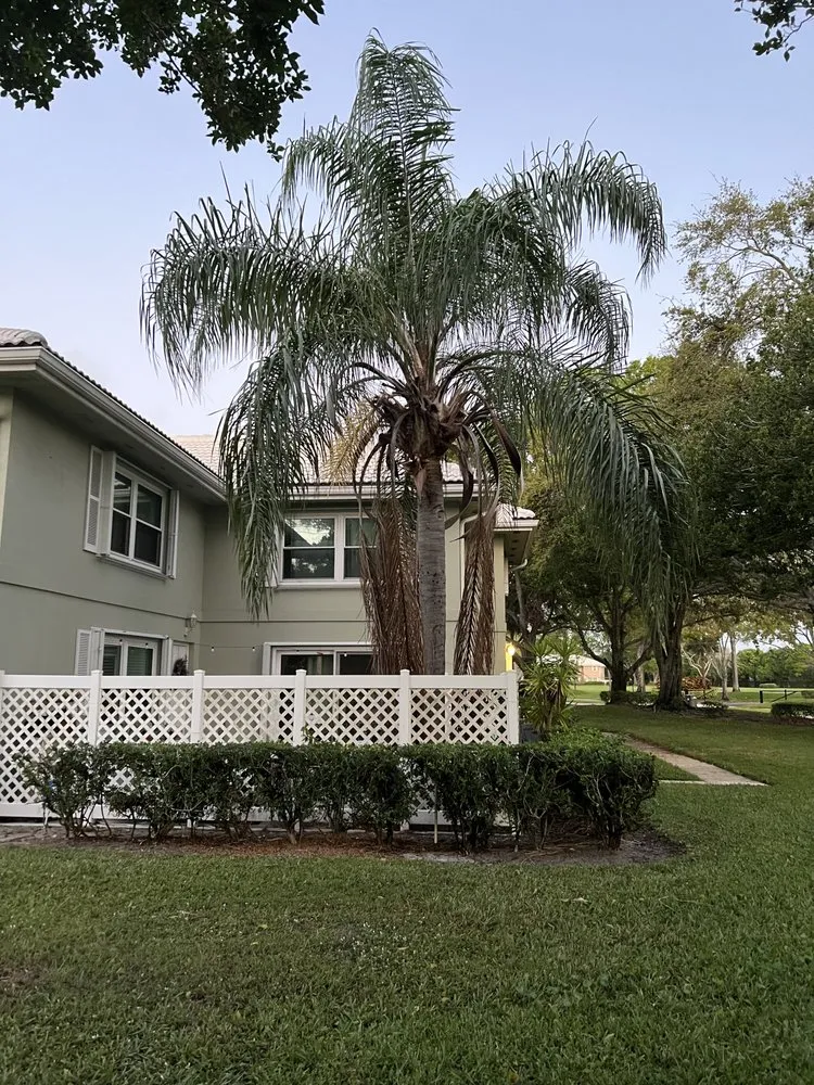 Top-rated landscape installation in West Palm Beach, FL - J M Landscaping
