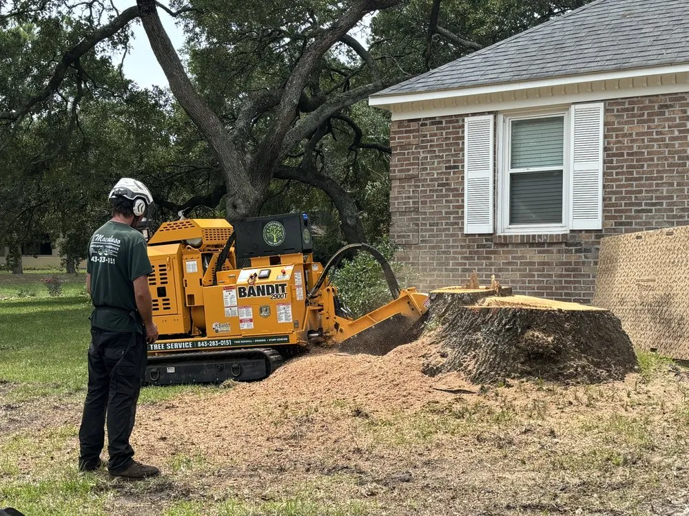 Reliable garden landscaping in Calabash, NC by J Macaluso Landscaping & Tree Service