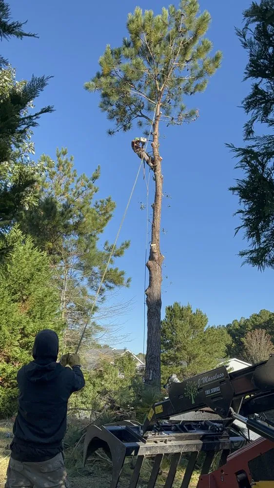 Local yard cleanup service in Calabash, NC by J Macaluso Landscaping & Tree Service