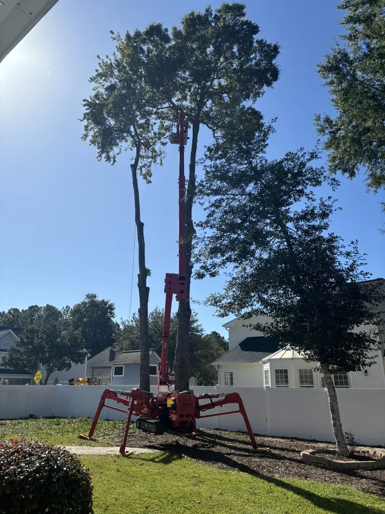 Top-rated landscape installation experts serving Calabash, NC - J Macaluso Landscaping & Tree Service