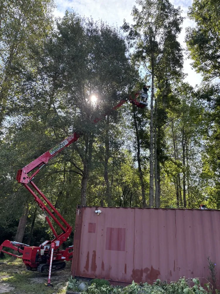 Local yard maintenance for outdoor upgrades in Calabash, NC by J Macaluso Landscaping & Tree Service