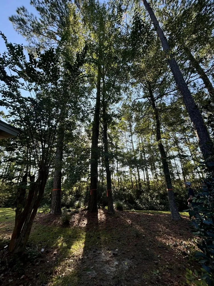 Top-rated residential landscaping for outdoor upgrades in Calabash, NC by J Macaluso Landscaping & Tree Service