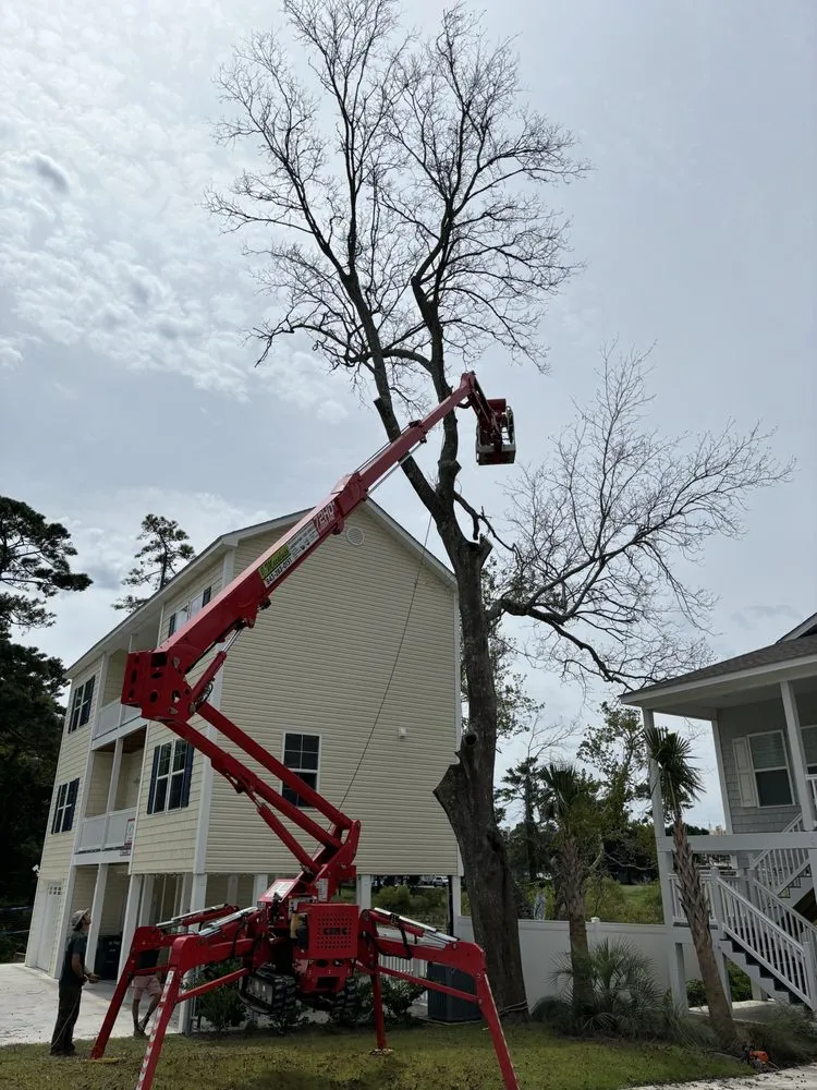 Custom outdoor landscaping experts serving Calabash, NC - J Macaluso Landscaping & Tree Service