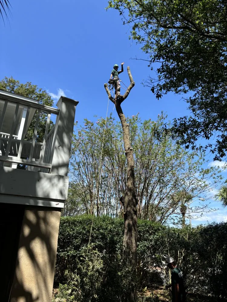 Expert lawn care service in Calabash, NC by J Macaluso Landscaping & Tree Service