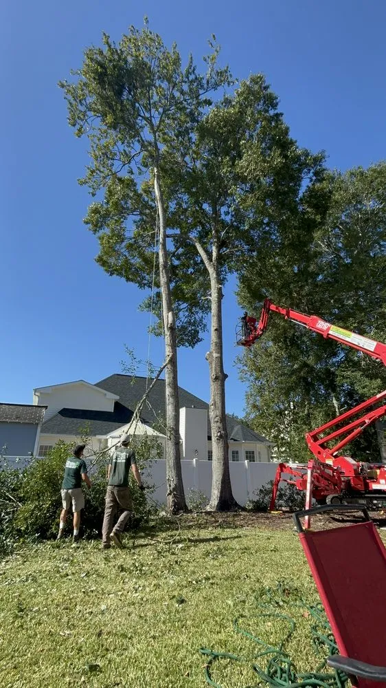 Local landscaping services experts serving Calabash, NC - J Macaluso Landscaping & Tree Service