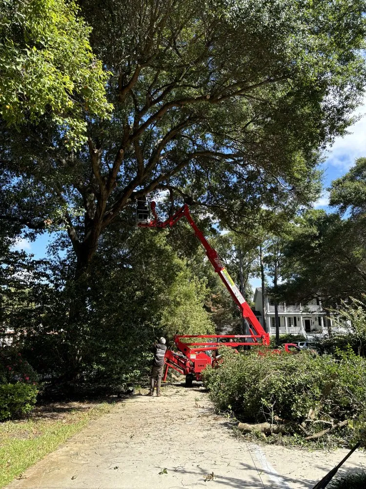 Local landscape design experts serving Calabash, NC - J Macaluso Landscaping & Tree Service