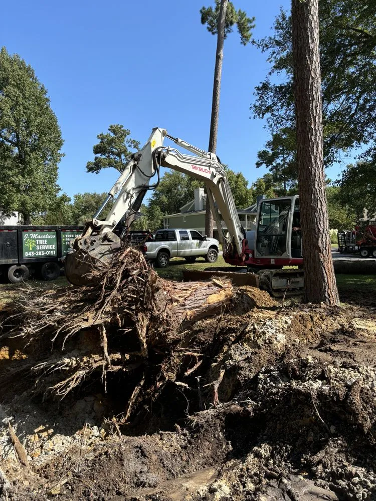 Expert residential landscaping near you across Calabash, NC - J Macaluso Landscaping & Tree Service