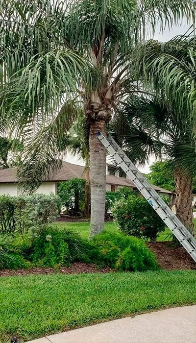 Expert garden landscaping experts serving Fort Myers, FL - J Marcial Lawn Services