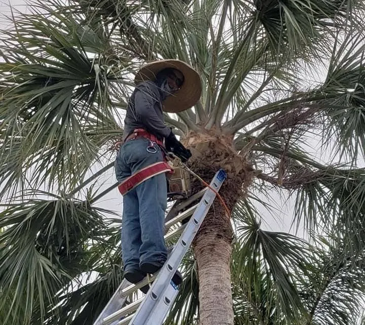 Professional landscaping services with custom design in Fort Myers, FL by J Marcial Lawn Services