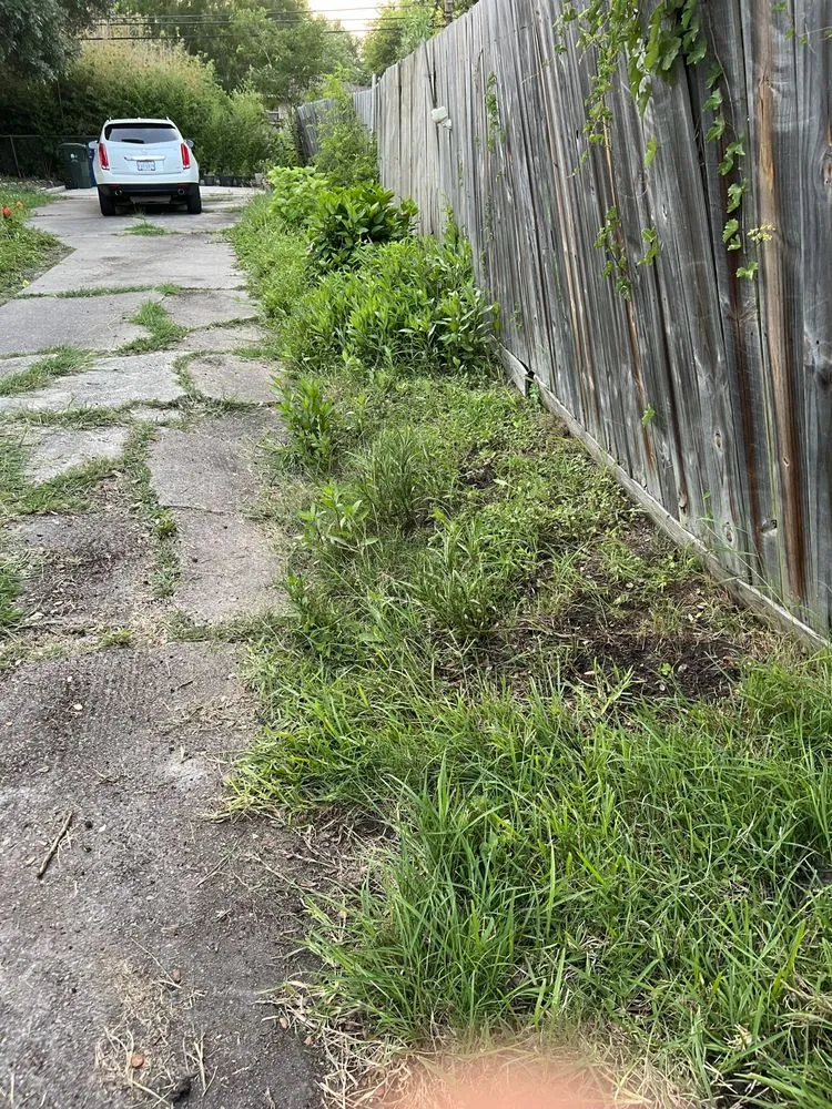 Affordable residential landscaping in Corpus Christi, TX by J Martinez & Son Lawn Service