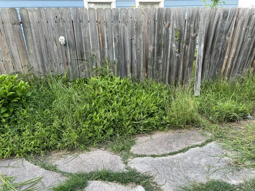 Trusted garden landscaping experts serving Corpus Christi, TX - J Martinez & Son Lawn Service