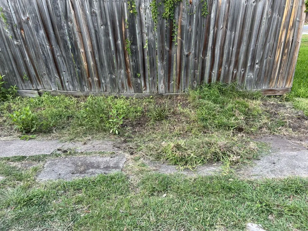 Affordable outdoor landscaping experts serving Corpus Christi, TX - J Martinez & Son Lawn Service