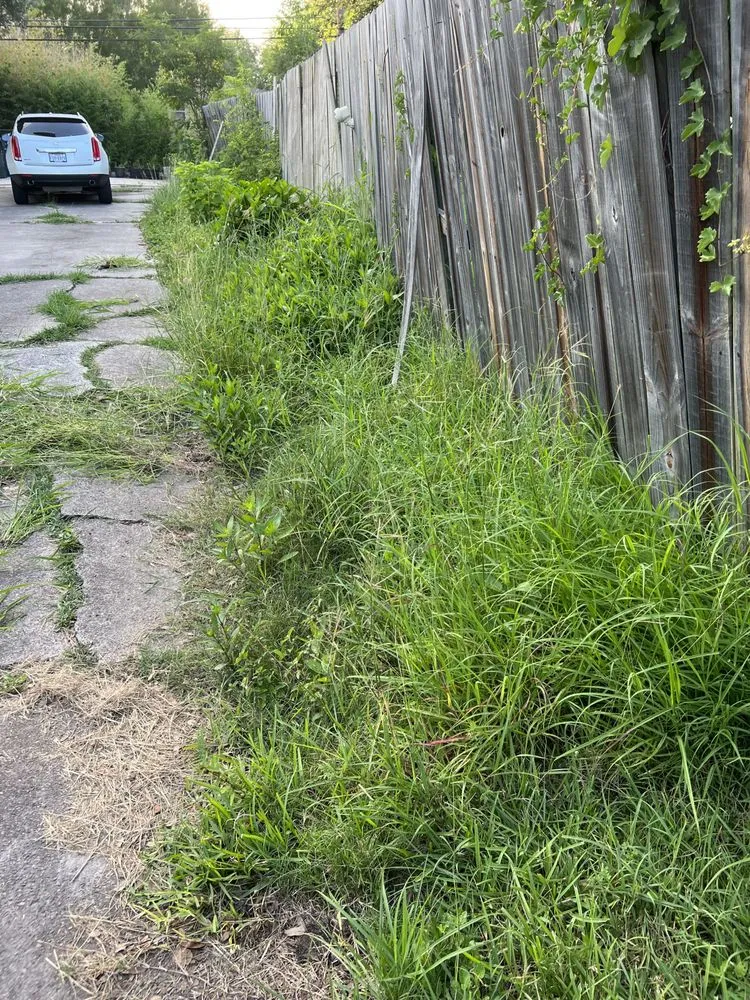 Custom yard maintenance for outdoor upgrades across Corpus Christi, TX - J Martinez & Son Lawn Service