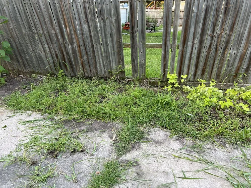 Affordable yard cleanup service for homes across Corpus Christi, TX - J Martinez & Son Lawn Service